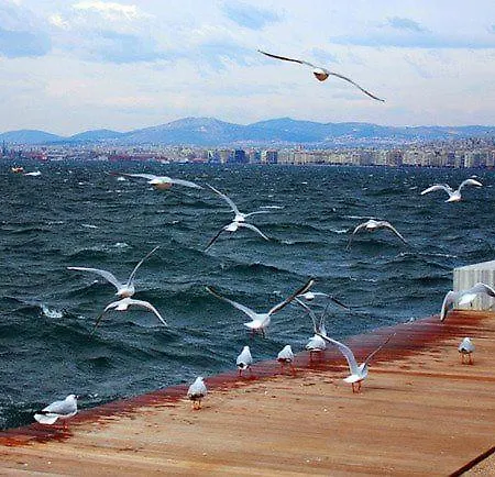 Blue Center Boutique Apartment Thessaloniki